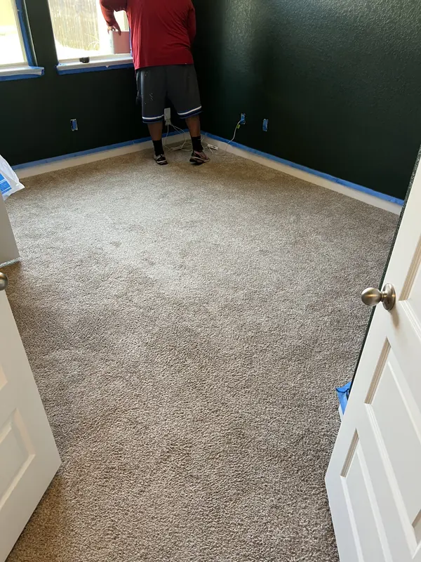 Fresh carpet installed in a bedroom with a green feature wall